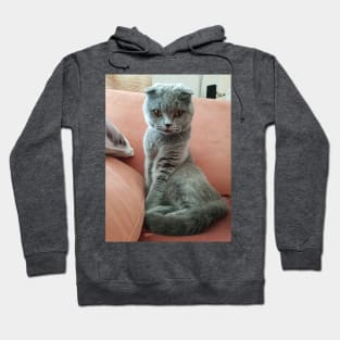 Emma The Cat Hoodie